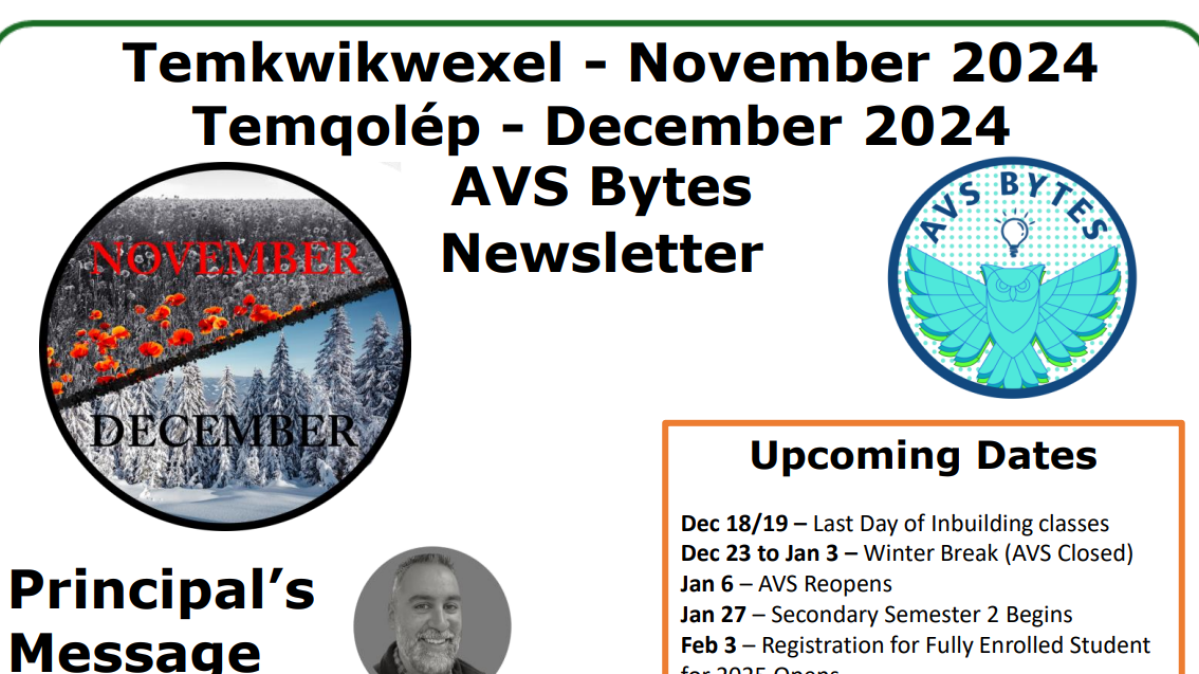 NovDec 2024 AVS Bytes Newsletter