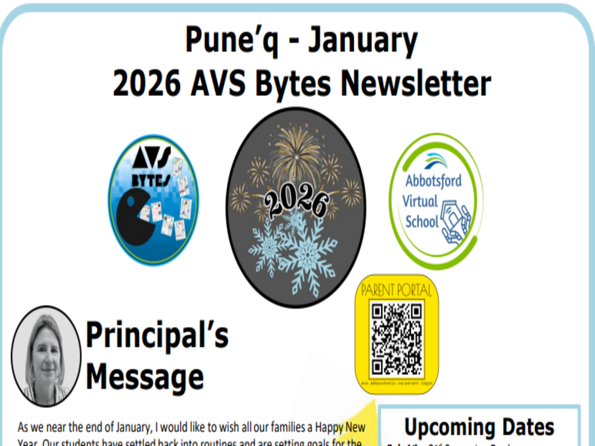 January 2025 AVS Bytes Newsletter Banner